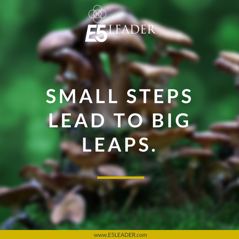 small_steps_big_leaps